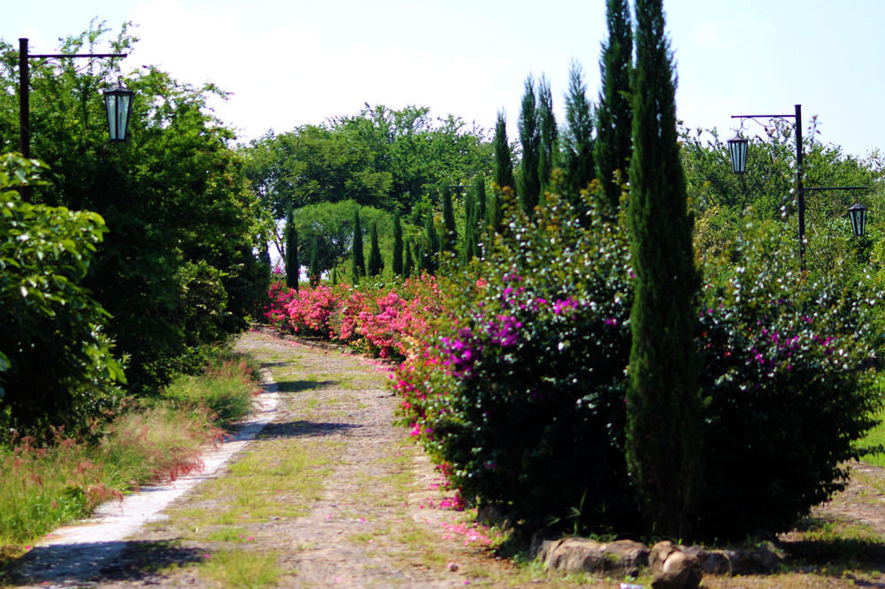 Hacienda San Nicolas De Las Fuentes Teuchitlán Zewnętrze zdjęcie