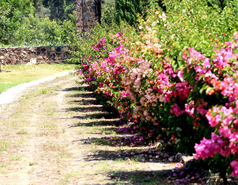 Hacienda San Nicolas De Las Fuentes Teuchitlán Zewnętrze zdjęcie